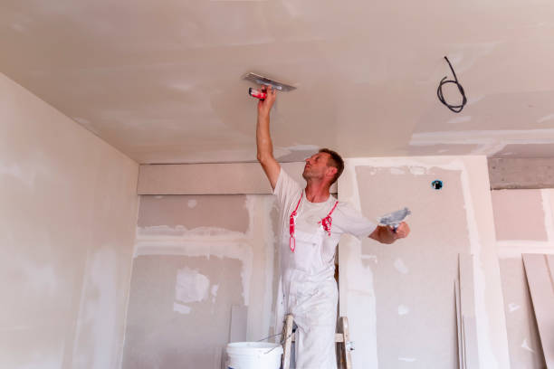 Best Drywall Removal and Disposal  in Jamestown West, NY