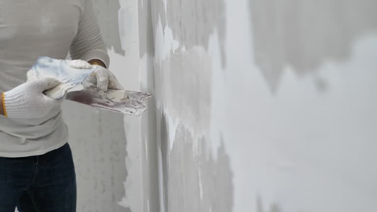 Best Fire-Damaged Drywall Repair  in Jamestown West, NY